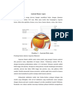 Anatomi Fisiologi Humor Akueus