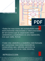 Control de Procesos Metabolicos