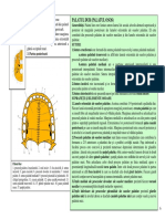 SECTIUNEA 2 EXOBAZA.pdf