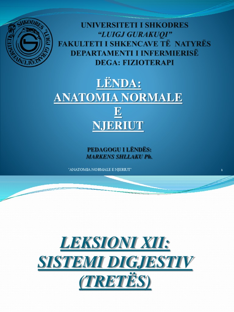 Sistemi Digjestiv | PDF