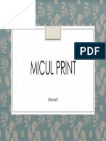 Micul Print