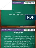 Types of Organization PDF