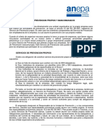 SPP y SPM.pdf