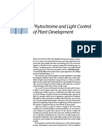 Phytochrome and Light Control of Plant Development