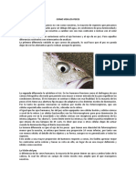 LA-VISION-DE-LOS-PECES.pdf