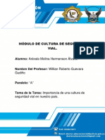 Ensayo #4 Importancia de Una Cultura de Seguridad Vial en El Ecuador