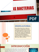 Las Bacterias