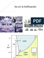 Cuidados en la liofilización.pptx