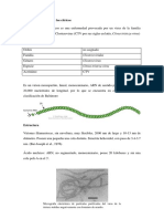 Virus de La Tristeza de Los Cítricos