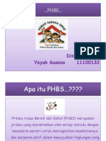 ppphbs-140701025504-phpapp01.pdf