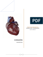 Proyecto de Informatica_heart