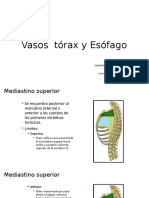 Vasos Torax y Esófago