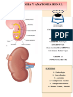 Preguntas de Embriologia y Anatomia. Grupo 14