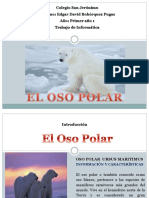 Presentacion Oso Polar