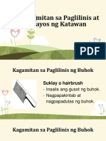 Mga Kagamitan Sa Paglilinis at Pag-Aayos NG Katawan Slide Pre