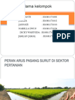 Peranan Area Pasang Surut