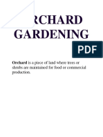 ORCHARD GARDENING LAYOUT GUIDE