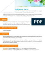 Gusanos y Chanchitos PDF