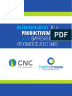 Cartilla Determinantes Productividad.pdf