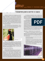 faisan.pdf