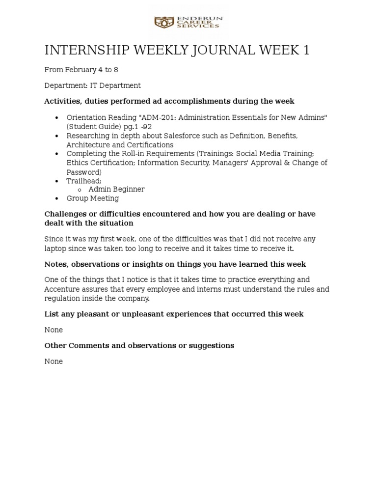 Internship Report Weekly Journal Template | PDF | Computing ...