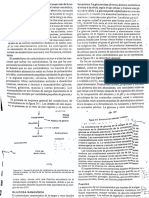 Carbohidratos PDF