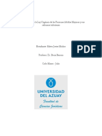 Análisis Jurídico de La Ley Orgánica de Las Personas Adultas Mayores y Sus Reformas Tributarias