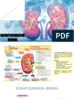 Seminario- Insuficiencia Renal Aguda y Crónica