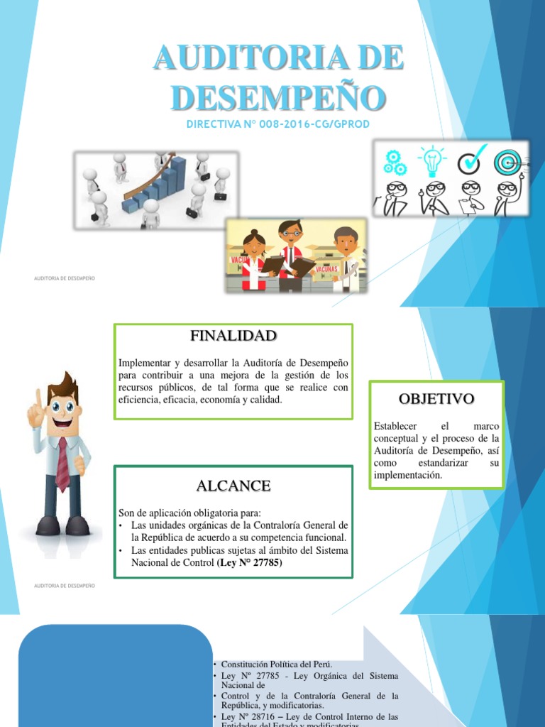 Guía de Auditoría de Desempeño | PDF | Planificación | Calidad (comercial)
