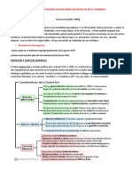 Ficha Evaluativa