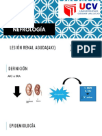 Nefrología: Lesión Renal Aguda (Aki)