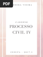 Caderno - Processo Civil IV