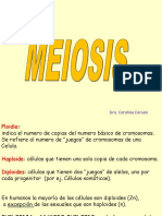 Teorico Meiosis 2014.ppt