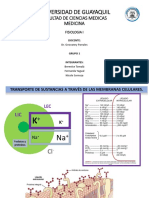 FISIOLOGIA