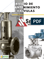 Servicio Mantenimiento Valvulas