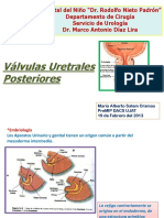 Valvulas Uretrales Posteriores Mario Salem PreMIP