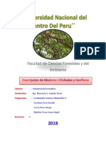 Descripcion de Maderas Ltifoliadas y Coniferas