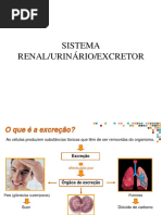 Sistema Renal Hoje