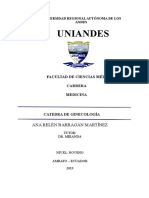 Antibioticos Mas Usados 12 Sem Gestacion