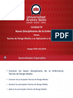 Clase 11 Teorías de Rango Medio EFER101 2019 PDF