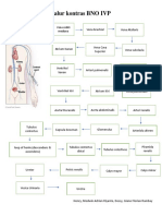 Vascular Anatomy Blood Flow Pathway