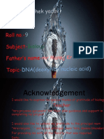 DNA and RNA Structure and Function