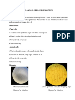 I.Plant Cells and Animal Cells Observation