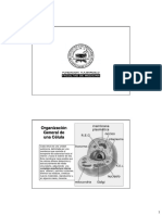revision_modulo_2[version_para_imprimir].pdf