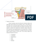 Trigonum Coli Anterior Laporan