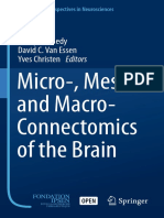 Miro-,Meso- and Macro- Connectomics of the Brain 