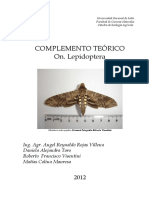 Orden Lepidoptera: mariposas, polillas y sus características