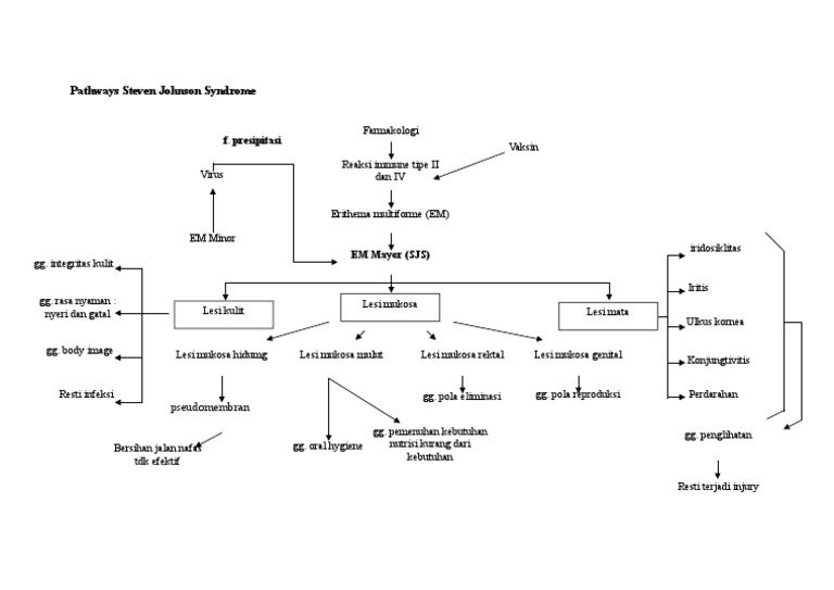 Jalur Penyakit Steven Johnson Syndrome | PDF
