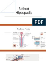 Referat urologii