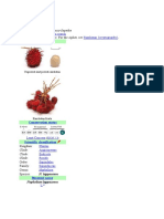 Rambutan: Jump To Navigation Jump To Search Rambutan (Cryptography)